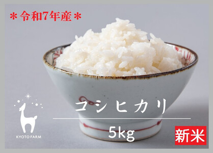 [新米先行受付][京都ファーム]令和7年産 コシヒカリ 精米5kg