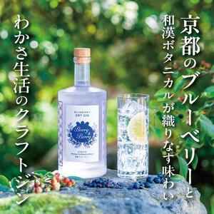 [わかさ生活]ブルーベリードライジン「Berry&Berry」700ml×1本 アルコール度数45度[ 京都 サプリ ブルーベリーアイ 売上No.1 人気 おすすめ お酒 酒 アルコール ジン 健康 お取り寄せ 通販 ふるさと納税 ]