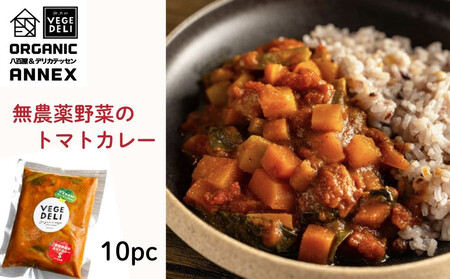 [Organic Vege Annex]無農薬野菜のトマトカレー冷凍10パックセット[ 京都 上賀茂 八百屋 オーガニック ヴィーガン vegan 野菜 こだわりのお惣菜 おいしい 人気 おすすめ アネックス べジ お取り寄せ 通販 送料無料 ふるさと納税 ]