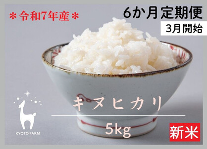 [6か月定期便・3月開始][先行受付][京都ファーム]令和7年産 京都ファームのキヌヒカリ 5kg [ 京都 京北産 きぬひかり 人気 おすすめ 米 コメ おこめ お取り寄せ 通販 送料無料 ふるさと納税 ]