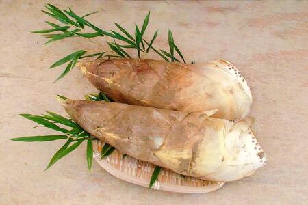 y Xz2026N4{` ̓`؋̂iˌ̂j