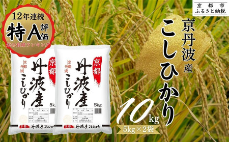 [丸越]京都丹波産こしひかり精米10kg|お米 お米 お米 お米 お米 お米