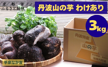 yƂȂgzOgR̈ 킯 3L 11n̂ƂꂽĂ̐Vm s R̈X El Ƃ   C  3kg s Ǝ҉i  lC   ʔ 