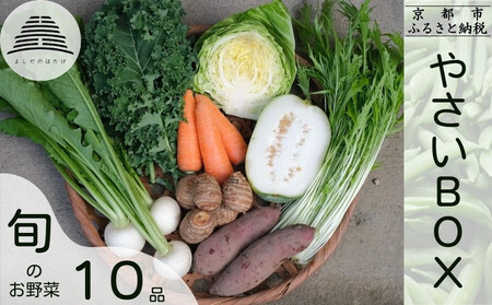 [よしだのはたけ]旬の野菜10品 やさいBOX|京都 京北 農家直送 野菜 人気セット