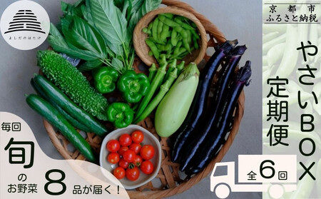 [定期便6回][よしだのはたけ]旬の野菜8品 やさいBOX|京都 京北 農家直送 野菜 人気セット