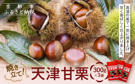 焼き立て! 天津甘栗300g×3袋|京都 甘栗 人気