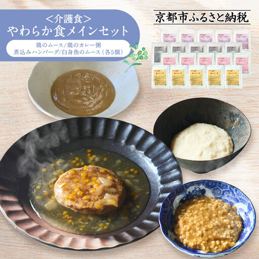 介護食 やわらか食 メインセット 鶏のムース/鶏のカレー粥/煮込みハンバーグ/白身魚のムース 各5個|レトルト 介護食品