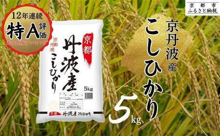 [丸越]京都丹波産こしひかり精米5kg |お米 お米 お米 お米 お米 お米