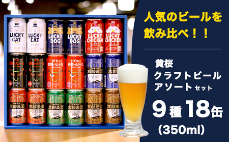 [黄桜]クラフトビール「18缶アソートセット」