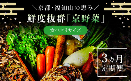 [3ヵ月定期便]鮮度抜群「京野菜」 食べきりサイズ詰合せ