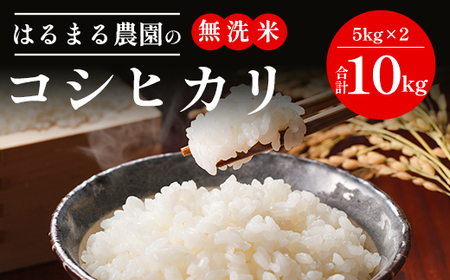 【先行予約】令和7年産新米 はるまる農園のコシヒカリ 無洗米 10kg ／ 無洗米 無洗米 無洗米 無洗米 FCCN007