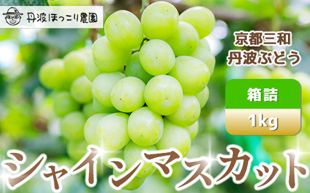 [先行予約]8月下旬発送開始!京都三和・丹波ぶどう[シャインマスカット・箱詰]1kg ぶどう ぶどう ぶどう ぶどう ぶどう