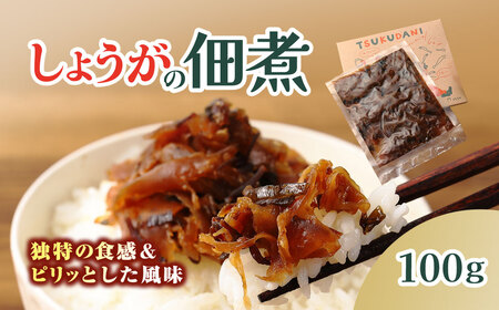 TSUKUDANI/しょうがの佃煮 (100g) ふるさと納税 福知山市 佃煮 しょうが つくだに 惣菜 おかず 生姜の佃煮 お歳暮 お中元 クリスマス ハロウィン ギフト 贈り物 プレゼント [fc-BW012][M.vege]