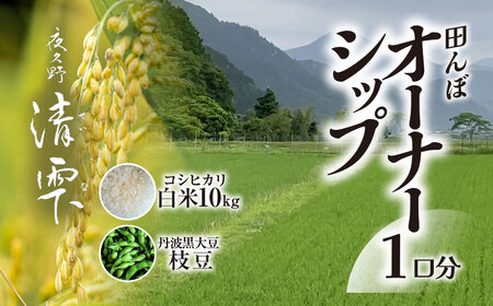 ＜令和7年10月中旬より発送！＞田んぼオーナーシップ1口分　清雫　白米10kg+黒ムラサキ（丹波黒大豆の枝豆）/ ふるさと納税 田んぼ オーナー制度 米 白米 令和7年度産 先行 収穫 夜久野 京都 京都府 福知山 FCDB009