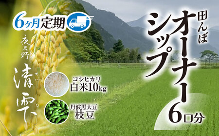 ＜令和7年10月中旬より発送！＞【6ヶ月定期】田んぼオーナーシップ6口分　清雫　白米10kg+黒ムラサキ（丹波黒大豆の枝豆）/ ふるさと納税 田んぼ オーナー制度 米 白米 令和7年度産 先行 定期 10kg 6回 収穫 夜久野 京都 京都府 福知山 FCDB011