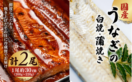 「国産うなぎの蒲焼き」×「国産うなぎの白焼き」 計2尾セット[凍らさず美味しさそのまま!〆たて・焼きたてを冷"蔵"で発送]地元飲食店に愛される、美味にこだわった「蒲焼き」×「白焼き」計2尾セット 特上 蒲焼 ウナギ 鰻 人気 浜名湖 関西 鰻蒲焼 養殖 冷蔵 ギフト ご褒美 人気 京都 京都府 福知山市