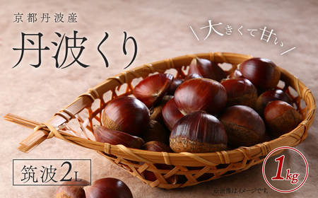 京都丹波産 丹波くり 筑波2L 1kg FCFB002 ふるさと納税 栗 くり 丹波栗 丹波くり 甘味 おやつ 栗ご飯 お菓子作り 2L L Lサイズ 無農薬 京都府 福知山市
