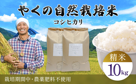 ߘa7NY ₭̎R͔| RVqJā@iāj 10kg  / R͔|  R RVqJ Ђ  ͂ v s{ mRs