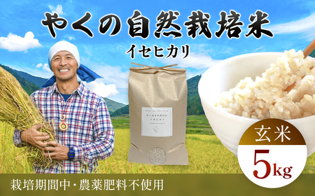 令和7年産 やくの自然栽培米 イセヒカリ 5kg 玄米 / 自然栽培 こめ コメ イセヒカリ いせひかり ごはん 夜久野 京都府 福知山市