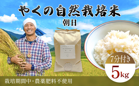 令和7年産 やくの自然栽培米 朝日 5kg 精米 (7分づき) / 自然栽培米 自然栽培 こめ コメ 米 白米 精米 朝日 あさひ アサヒ お米 ごはん やくの 夜久野 京都府 福知山市