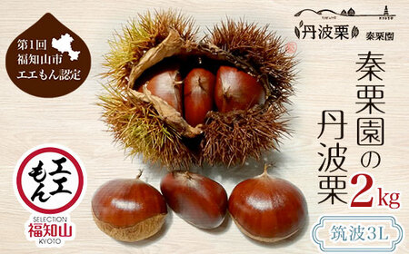y10{z`I̒OgI }g3L 2sy1񕟒mRsFz 嗱ynz FCAC010