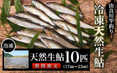 [2024年6月〜発送開始]由良川の冷凍天然生鮎10匹[竿釣り](17㎝〜23㎝)