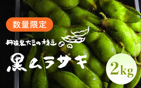 [先行予約・2025年10月発送]丹波黒大豆の枝豆「黒ムラサキ」2kg 枝豆 枝豆 枝豆 枝豆 枝豆