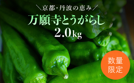 y2025N6{JnIz莛Ƃ炵 2s / ӂ邳Ɣ[   {̖ 莛Ƃ炵 ` s s{ mRs FCDB040