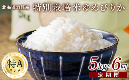 y2025NYz yցF6z kCHyY ʍ͔| ߂҂肩5kgy0811302z