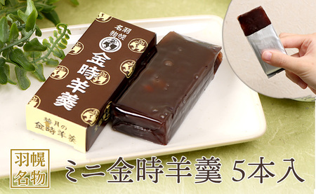 Hy ~jr5{y11110z