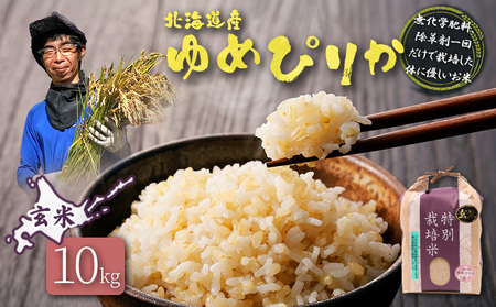 y2025NYzkCY ʍ͔| ߂҂肩  10kgiw엿A܈񂾂ō͔|̂ɗDājy25149z