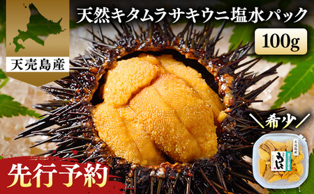 ykC VYz 2026Ns\ VR L^TL pbN 100g×1pbNy31001z