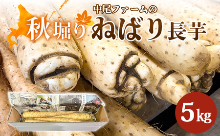 yHxzt@[̂˂΂  5kgy34001z