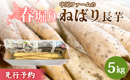 s\Jn ytxzt@[̂˂΂蒷 5kgy34003z