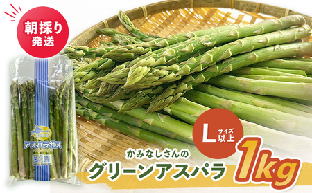 [2026年産先行受付]朝採り発送 かみなしさんのグリーンアスパラ 1kg(Lサイズ以上)[32002]