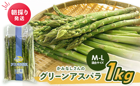 [2026年産先行受付]朝採り発送 かみなしさんのグリーンアスパラ 1kg(M-L混合サイズ)[32001]