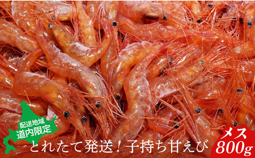 [配送地域・北海道内限定]とれたて発送!子持ち甘えび メス 800g[06113]