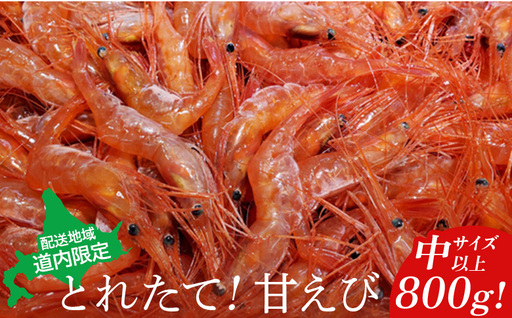 [配送地域・道内限定]とれたて!甘えび800g(中サイズ以上)[06112]