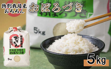 [令和5年産]北海道羽幌産 特別栽培米おぼろづき5kg[08118]