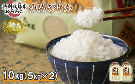 ʌ聦y2024NYz kCHyY ʍ͔| ߂҂肩10kg i5kg×2Zbgjy0812301z