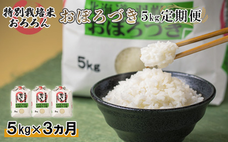 [令和5年産][定期便:3回]令和5年産 北海道羽幌産特別栽培米おぼろづき5kg[08126]