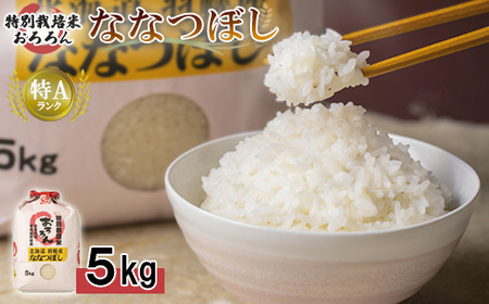 [令和5年産]北海道羽幌産 特別栽培米ななつぼし5kg[08119]