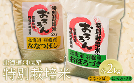 [令和5年産]北海道羽幌産 特別栽培米おぼろづき2kg・ななつぼし2kgセット[08120]