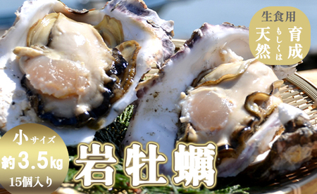 訳あり 岩がき 小サイズ 15個入 3.5kg前後 生食用 ： 牡蠣 殻付き牡蠣 岩牡蠣 牡蠣 訳あり牡蠣