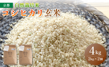 [令和5年度産 2週間以内 発送可能!] 自然栽培米 こしひかり 4kg (2kg×2) 玄米 : お米 コシヒカリ 京都産 舞鶴 自然栽培 精米 農家直送 コメ ご飯 健康 無農薬 お米 玄米 無農薬 お米 