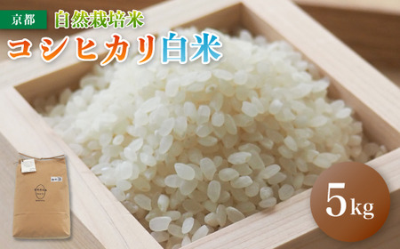 自然栽培米 こしひかり 5kg 精米 白米 令和６年度産 京都府 舞鶴市