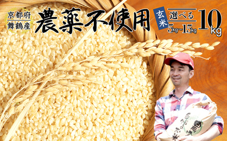 【令和7年度産 新米 先行予約】 棚田米 玄米 10kg コシヒカリ 栽培期間中 農薬不使用 お米 玄米 玄米 玄米