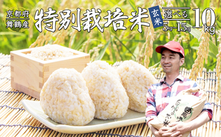 【令和7年度産 新米 先行予約】 棚田米 玄米 10kg コシヒカリ  特別栽培米 7割削減 こしひかり お米 玄米 玄米
