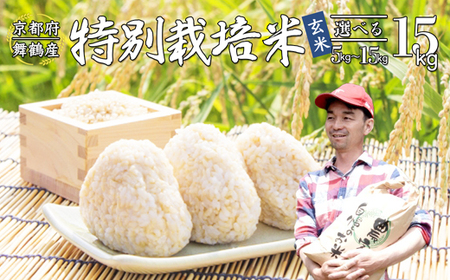 【令和7年度産 新米 先行予約】 棚田米 玄米 15kg コシヒカリ  特別栽培米 7割削減 こしひかり お米 玄米 玄米
