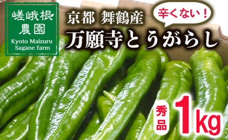 [5月中旬〜11月下旬発送] 万願寺とうがらし 秀品 1kg 辛くない万願寺とうがらし 万願寺 とうがらし